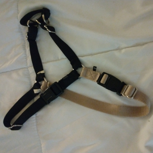 Easy walk harness - Picture 1 of 3